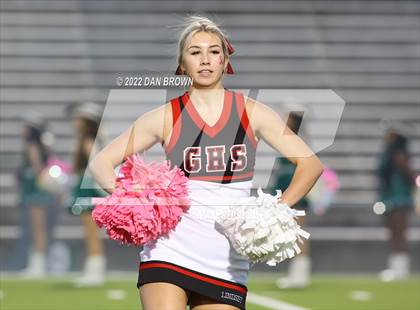 Thumbnail 2 in Greenville @ Poteet photogallery.
