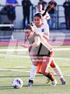Photo from the gallery "Archbishop Mitty @ Saint Francis (CIF NorCal D1 Final)"