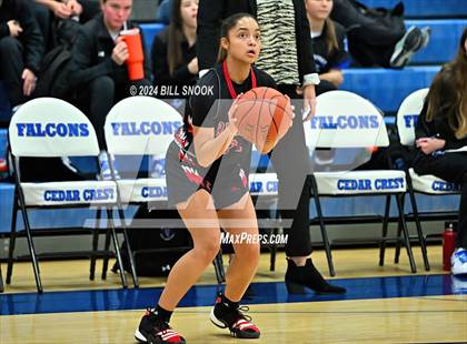 Thumbnail 3 in Reading @ Cedar Crest photogallery.