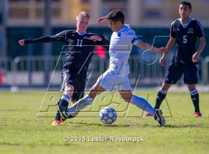 Thumbnail 1 in Steele vs Johnson photogallery.