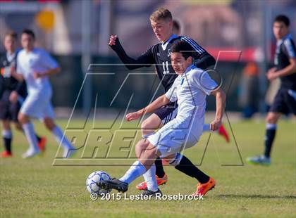 Thumbnail 1 in Steele vs Johnson photogallery.