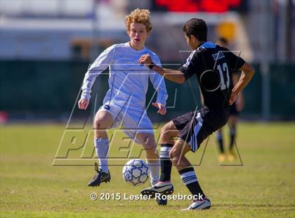 Thumbnail 3 in Steele vs Johnson photogallery.
