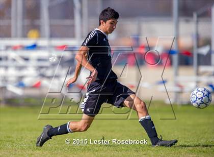Thumbnail 2 in Steele vs Johnson photogallery.