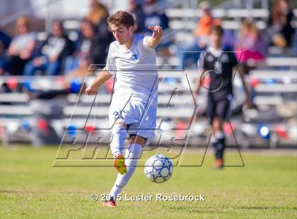 Thumbnail 1 in Steele vs Johnson photogallery.