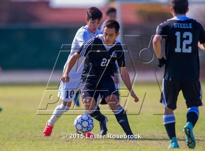 Thumbnail 1 in Steele vs Johnson photogallery.