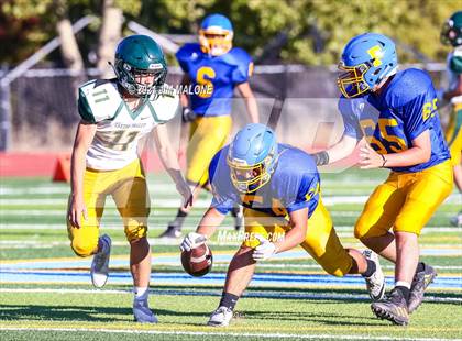 Thumbnail 2 in Castro Valley @ Foothill photogallery.