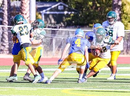Thumbnail 1 in Castro Valley @ Foothill photogallery.