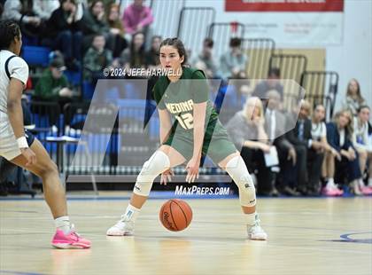 Thumbnail 3 in Archbishop Hoban vs. Medina (OHSAA D1 District Final) photogallery.