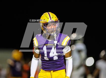 Thumbnail 1 in Houston @ DeSoto Central photogallery.
