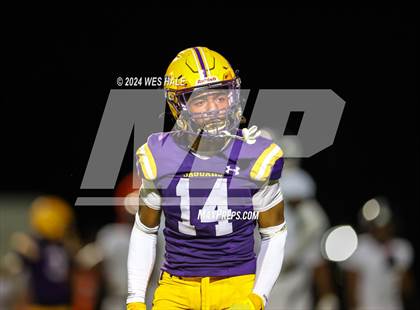 Thumbnail 3 in Houston @ DeSoto Central photogallery.
