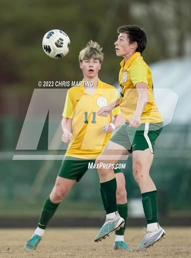 null - Photo 11