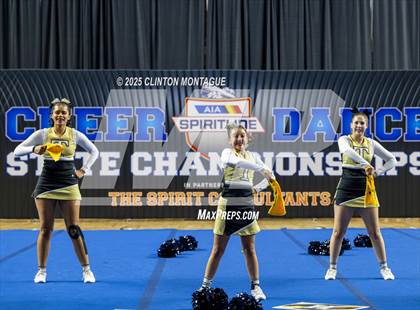 Thumbnail 2 in Tombstone - Cheer (AIA Division IV Prelims) photogallery.