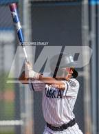 Photo from the gallery "Mingus @ Cactus"