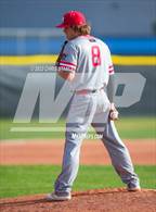 Photo from the gallery "Mingus @ Cactus"