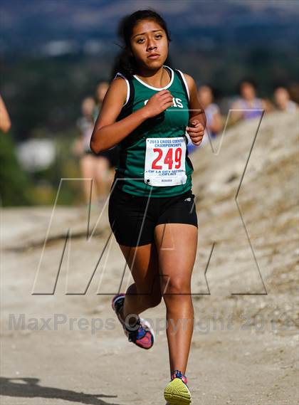 Thumbnail 1 in CIF LA City Section Cross Country Championships (Girls) photogallery.