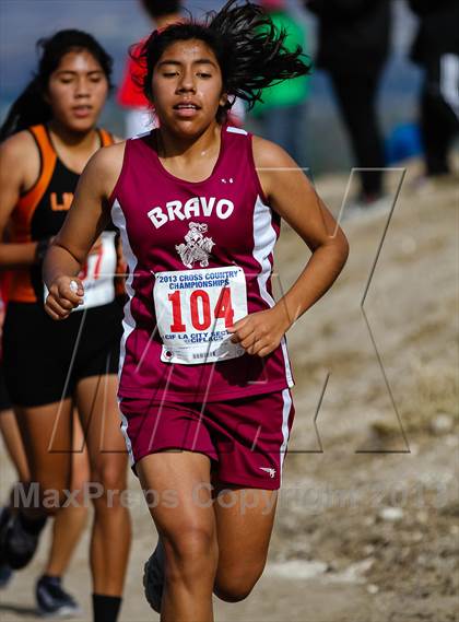 Thumbnail 2 in CIF LA City Section Cross Country Championships (Girls) photogallery.
