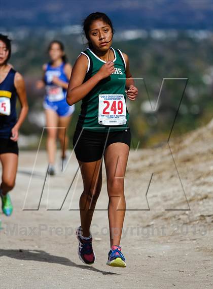 Thumbnail 1 in CIF LA City Section Cross Country Championships (Girls) photogallery.