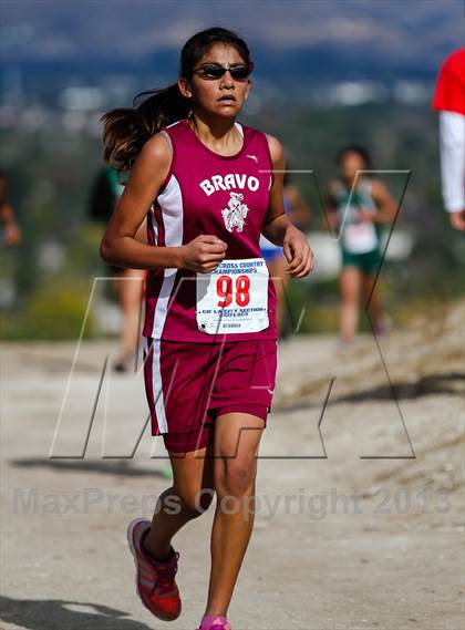 Thumbnail 2 in CIF LA City Section Cross Country Championships (Girls) photogallery.