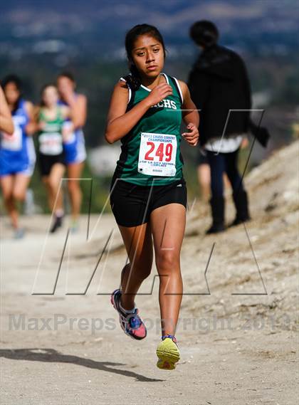 Thumbnail 3 in CIF LA City Section Cross Country Championships (Girls) photogallery.