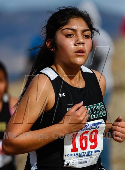 Thumbnail 2 in CIF LA City Section Cross Country Championships (Girls) photogallery.