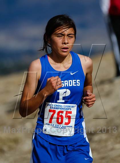 Thumbnail 3 in CIF LA City Section Cross Country Championships (Girls) photogallery.