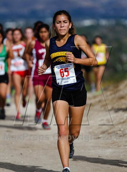 Thumbnail 1 in CIF LA City Section Cross Country Championships (Girls) photogallery.