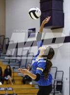 Photo from the gallery "Fort Wayne Blackhawk Christian @ Leo"