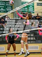 Photo from the gallery "Spring Hill @ Tatum"