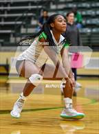 Photo from the gallery "Spring Hill @ Tatum"