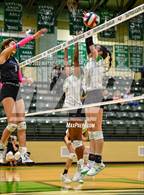 Photo from the gallery "Spring Hill @ Tatum"