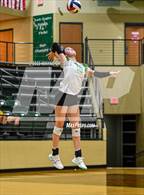 Photo from the gallery "Spring Hill @ Tatum"