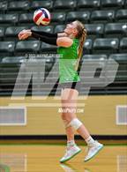 Photo from the gallery "Spring Hill @ Tatum"
