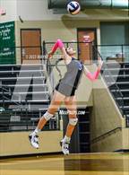 Photo from the gallery "Spring Hill @ Tatum"