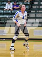 Photo from the gallery "Spring Hill @ Tatum"