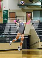 Photo from the gallery "Spring Hill @ Tatum"