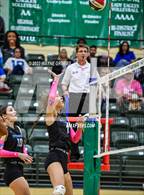 Photo from the gallery "Spring Hill @ Tatum"