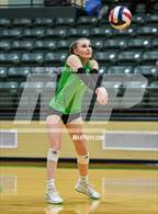 Photo from the gallery "Spring Hill @ Tatum"
