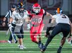 Photo from the gallery "Campbell @ Kahuku"