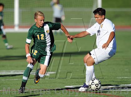 Thumbnail 3 in Lakeland @ Walter Panas photogallery.