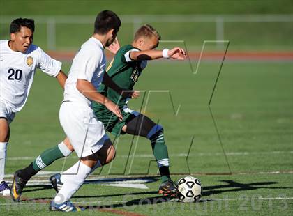 Thumbnail 3 in Lakeland @ Walter Panas photogallery.