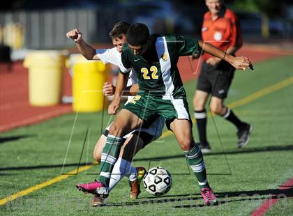 Thumbnail 3 in Lakeland @ Walter Panas photogallery.