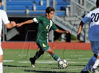Thumbnail 3 in Lakeland @ Walter Panas photogallery.
