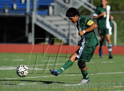 Thumbnail 2 in Lakeland @ Walter Panas photogallery.