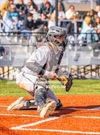 Photo from the gallery "Murray @ Olympus"