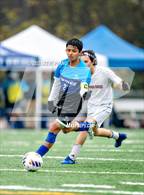 Photo from the gallery "Laguna Creek @ Valley"