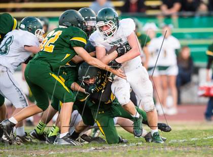 Thumbnail 3 in JV: Colfax @ Placer photogallery.