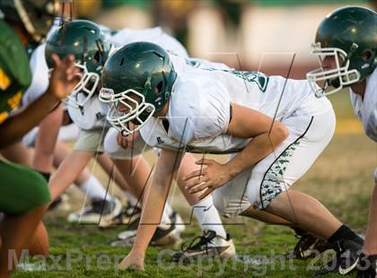 Thumbnail 3 in JV: Colfax @ Placer photogallery.