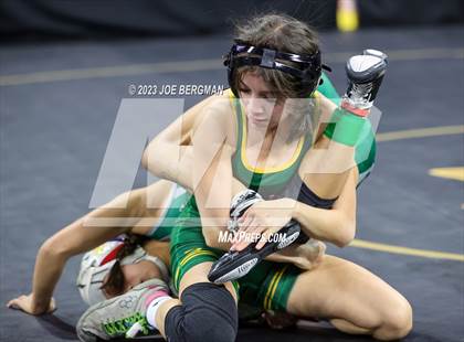 Thumbnail 1 in CIF State Championships (Girl's 1st Round) photogallery.