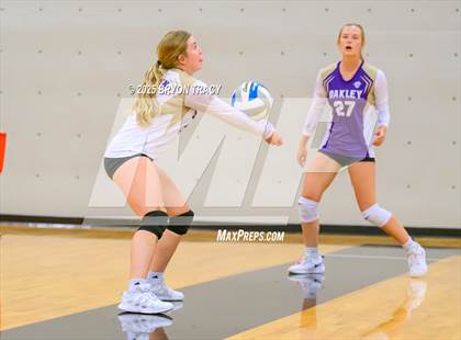 Thumbnail 2 in Oakley @ Southwestern Heights photogallery.