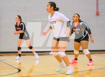 Thumbnail 3 in Oakley @ Southwestern Heights photogallery.